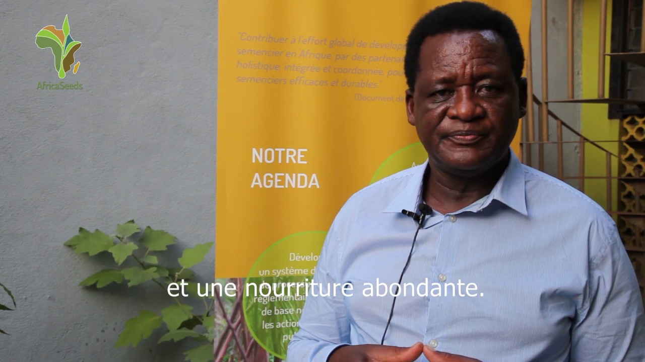 Interview with Andrew Mushita, Head of the CTDT and AfricaSeeds Board Member on 29 Nov. 19, Abidjan.