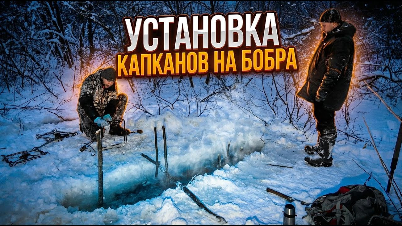ОХОТА на БОБРА Зимой #50.1 \ Установка капканов под лёд