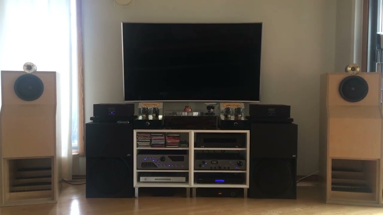 Audion Golden Dream monoblocks