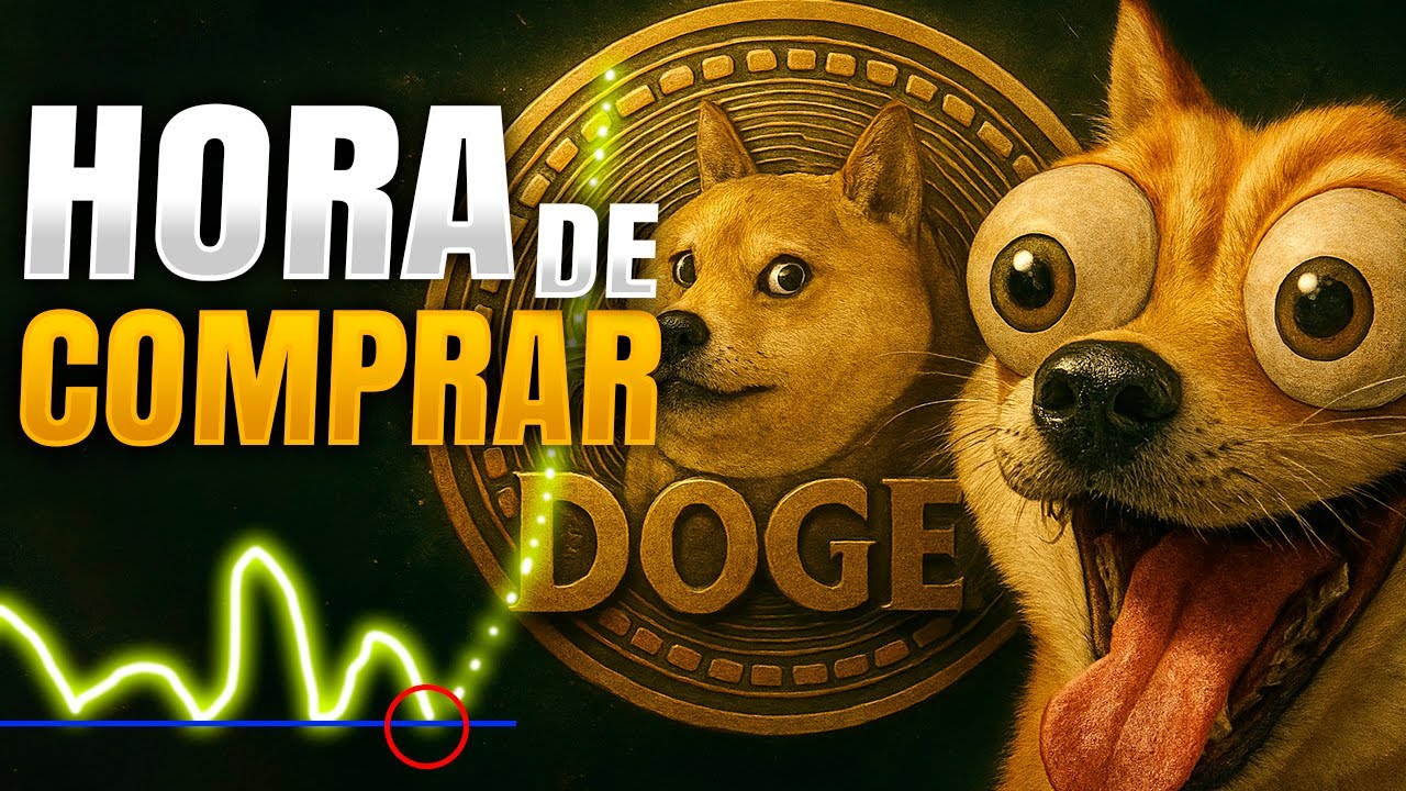 3 Pre&ccedil;os para comprar Dogecoin e lucrar