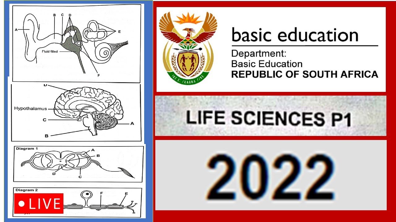 life sciences paper 1, 2022 , FINAL EXAMS: full paper , thundereduc By m.saidi