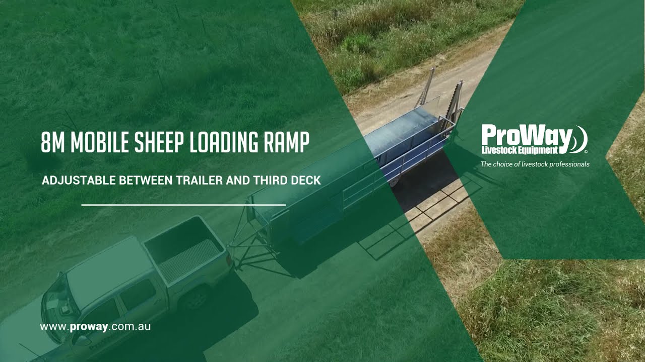 ProWay 8.0m Mobile Adjustable Sheep Loading Ramp
