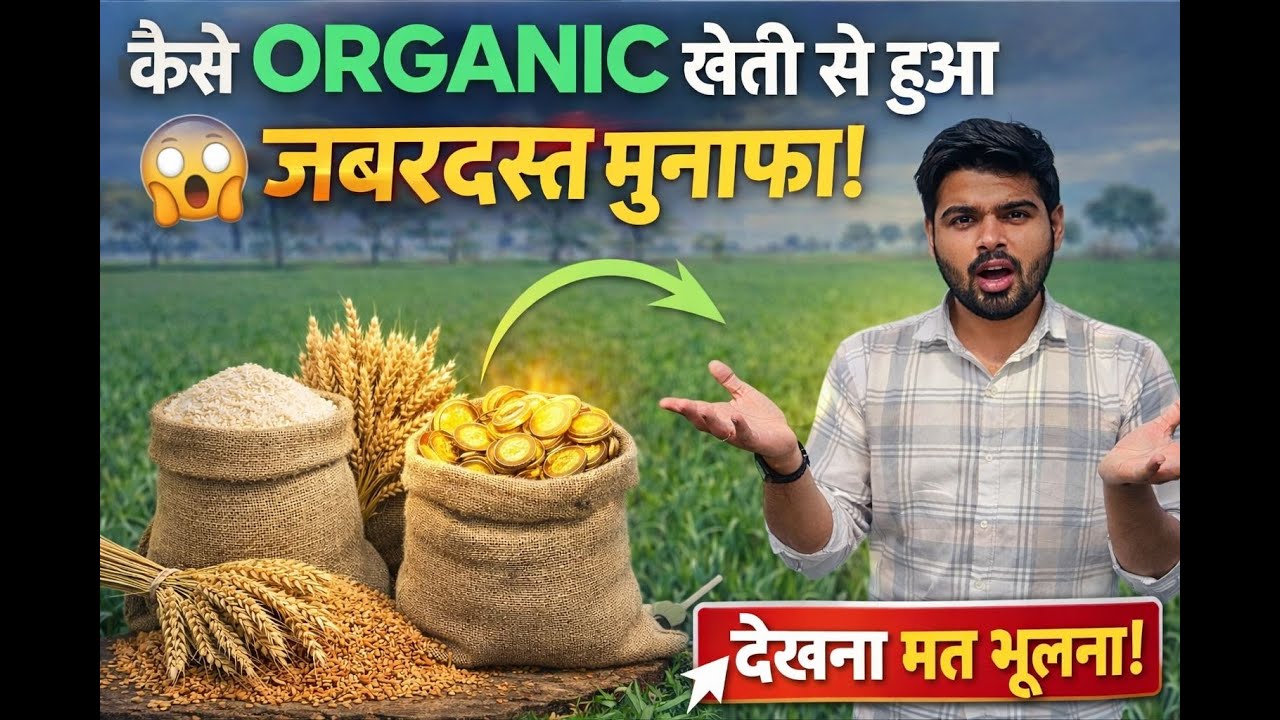 ऑर्गेनिक खेती से सफल बिज़नेस कैसे बनाएं? Organic Farming Business Ideas That Actually Make Profit//