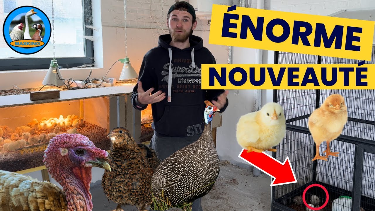 NOUVEL ARRIVAGE POUR PÂQUES !