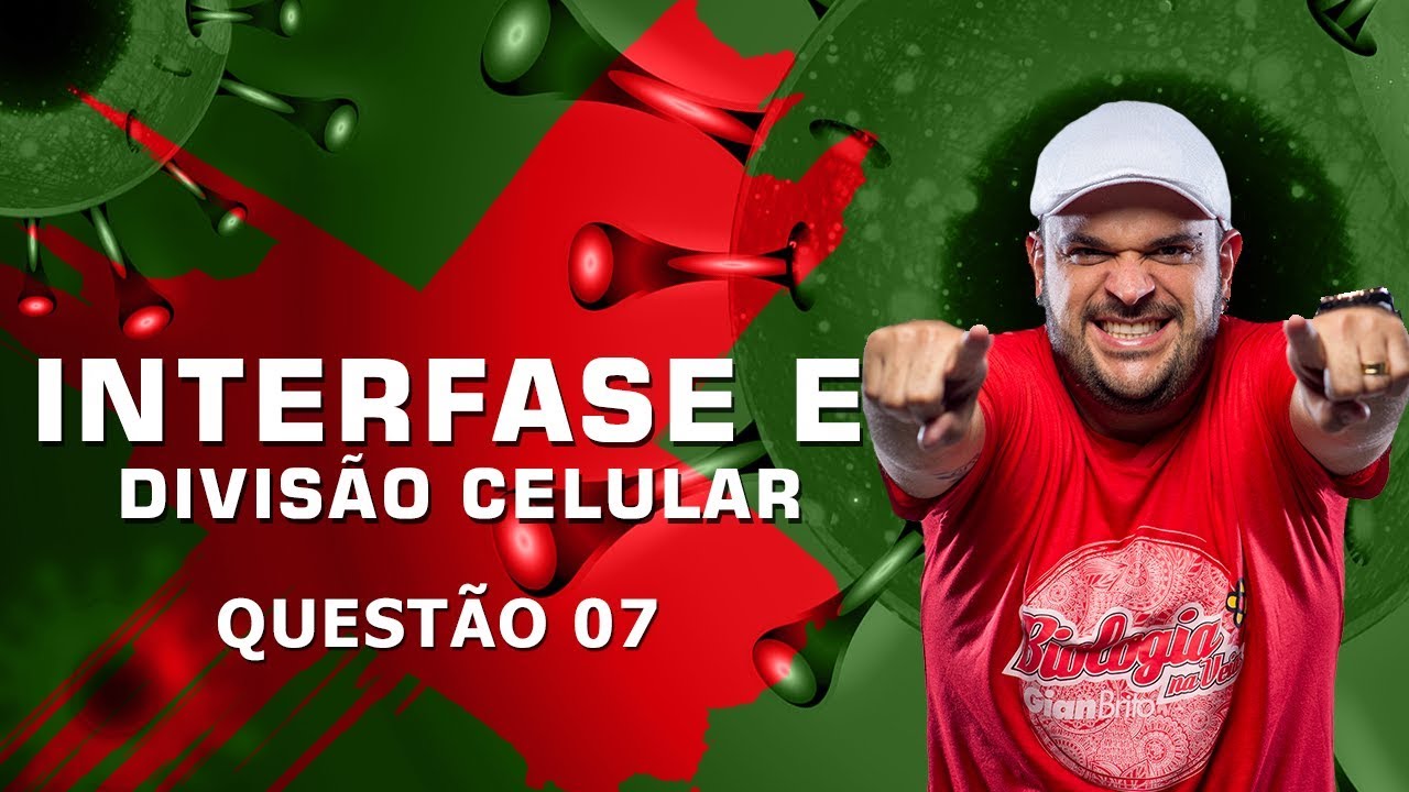 AS FASES DA INTERFASE E DA MITOSE - quest&atilde;o 7 - lista INTERFASE E DIVIS&Atilde;O CELULAR