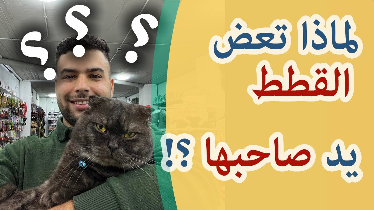 لماذا تعض القطط يد صاحبها ؟ , لماذا تعض القطط صاحبها ؟ , لماذا تعض القطط ؟