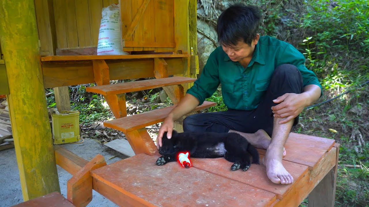 Rescue Abandoned Puppy in the Woods  Green Forest Life  Cozy Farm Build