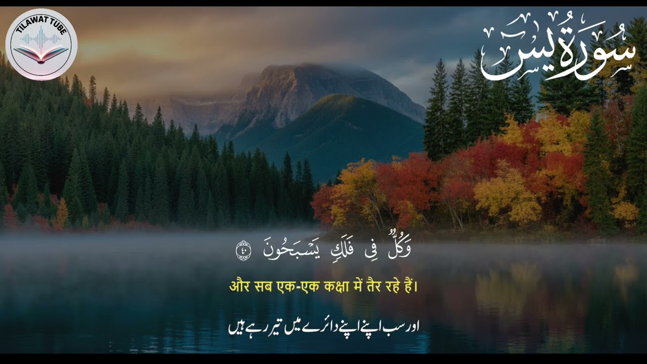 Surah Yaseen (سورة يس) | Heart Touching Recitation Of Surah Yasin | Soothing Tilawat Episode # 98