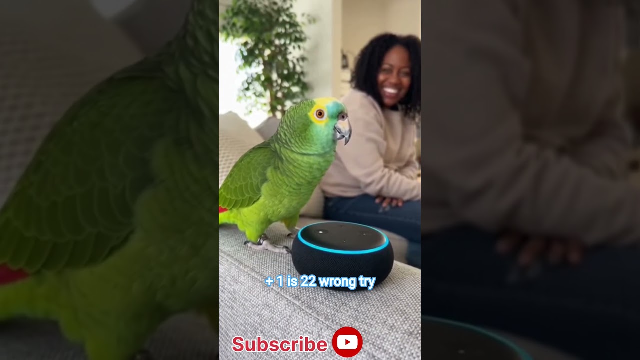 fanny parrot talking in alexa #funny #parrot #viralshorts