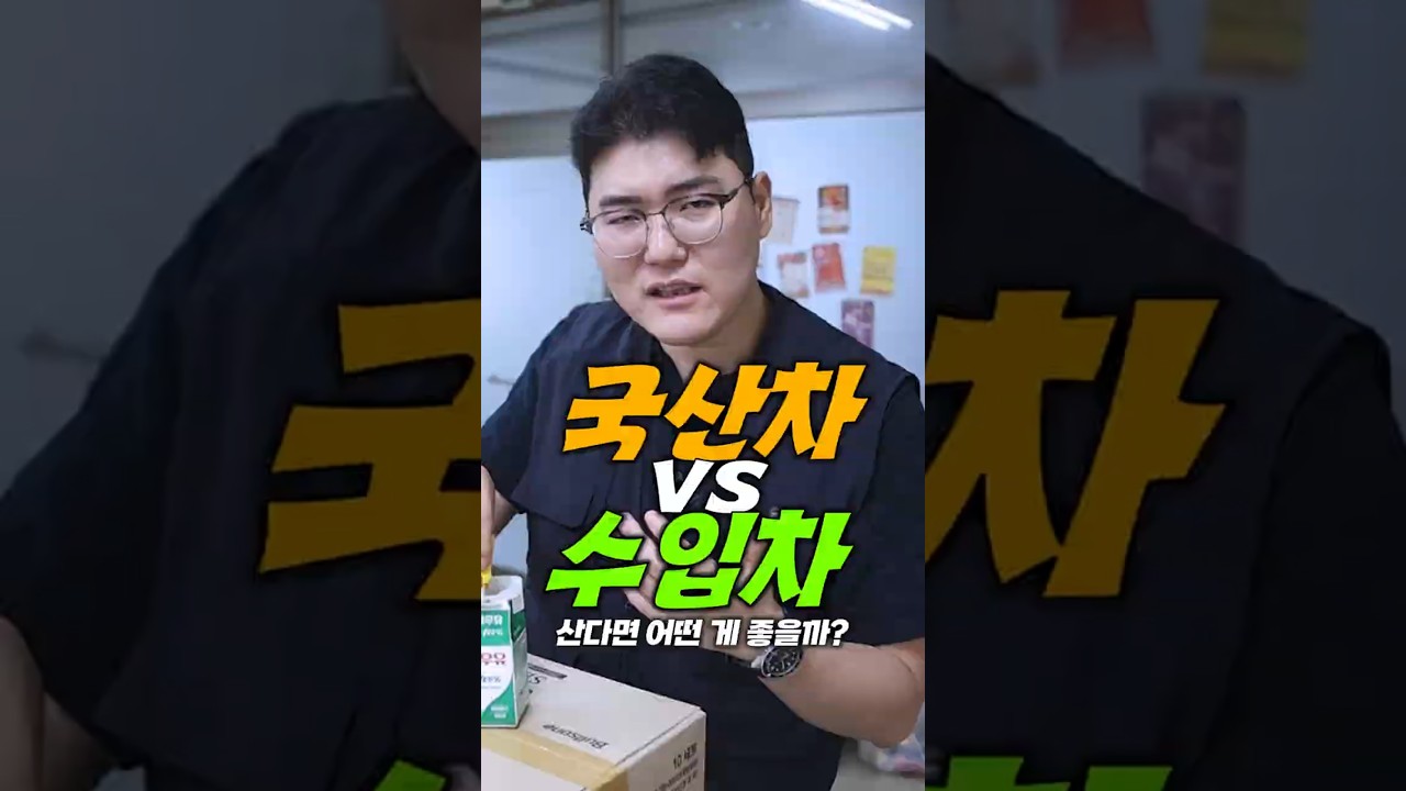 국산차 vs 수입차
