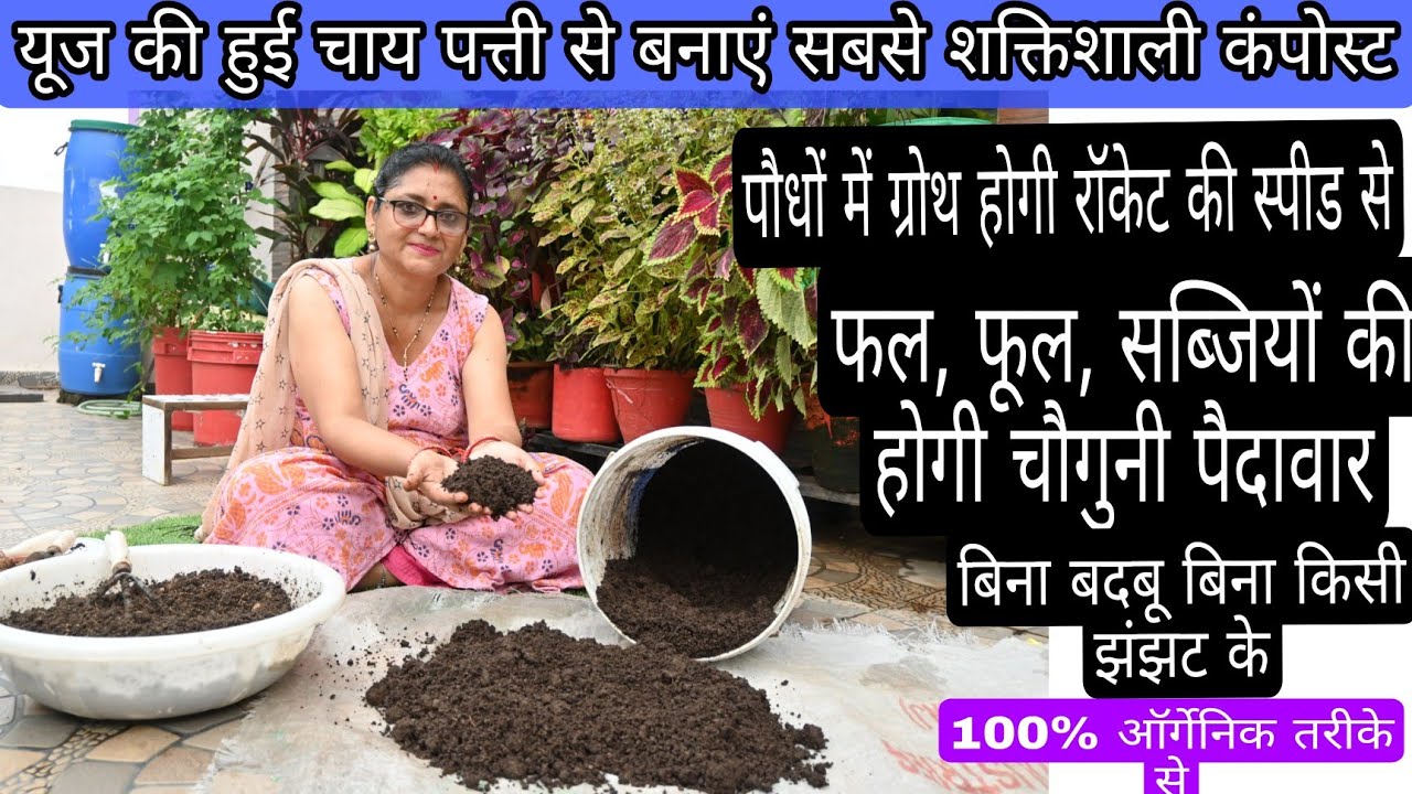 इस्तेमाल की गई चाय पत्ती की खाद कैसे बनाएं, फल फूल ,सब्जियों में चाय पत्ती खाद का कमाल#garden