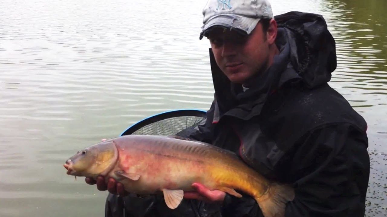 Pole Fishing For Big Carp, In The Margins On Meat - Part Two