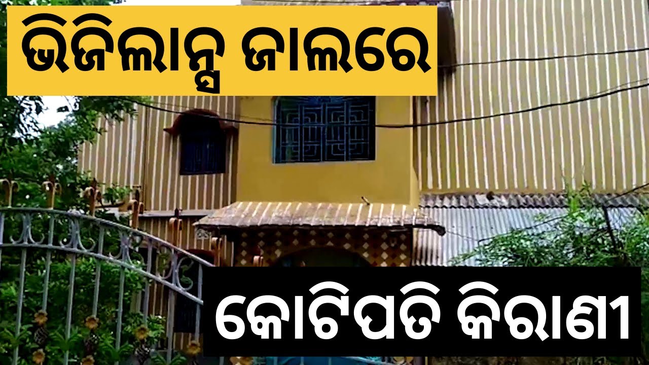 Odisha : Statistical field Surveyor in Vigilance net | Sanket Tv