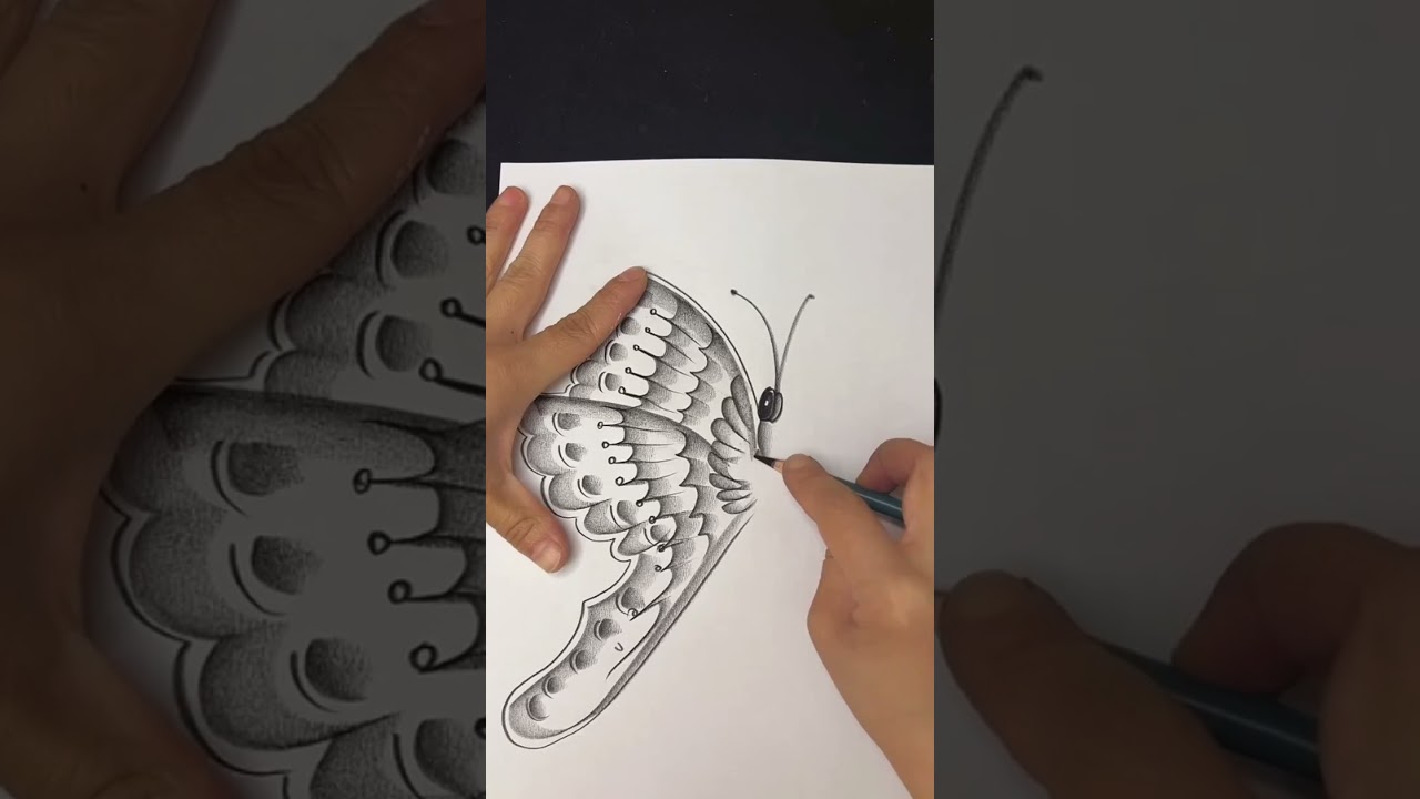 Realistic Butterfly Drawing Step by Step || Pencil Shading Technique