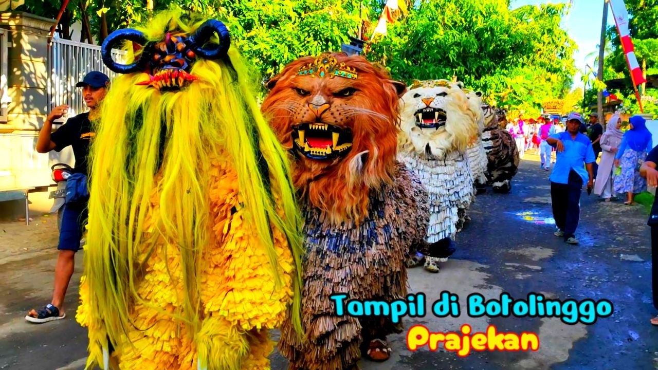 Can macanan singo raung cilik di undang P.P. Nurul Anshor acara maulid tampil di BOTOLINGGO