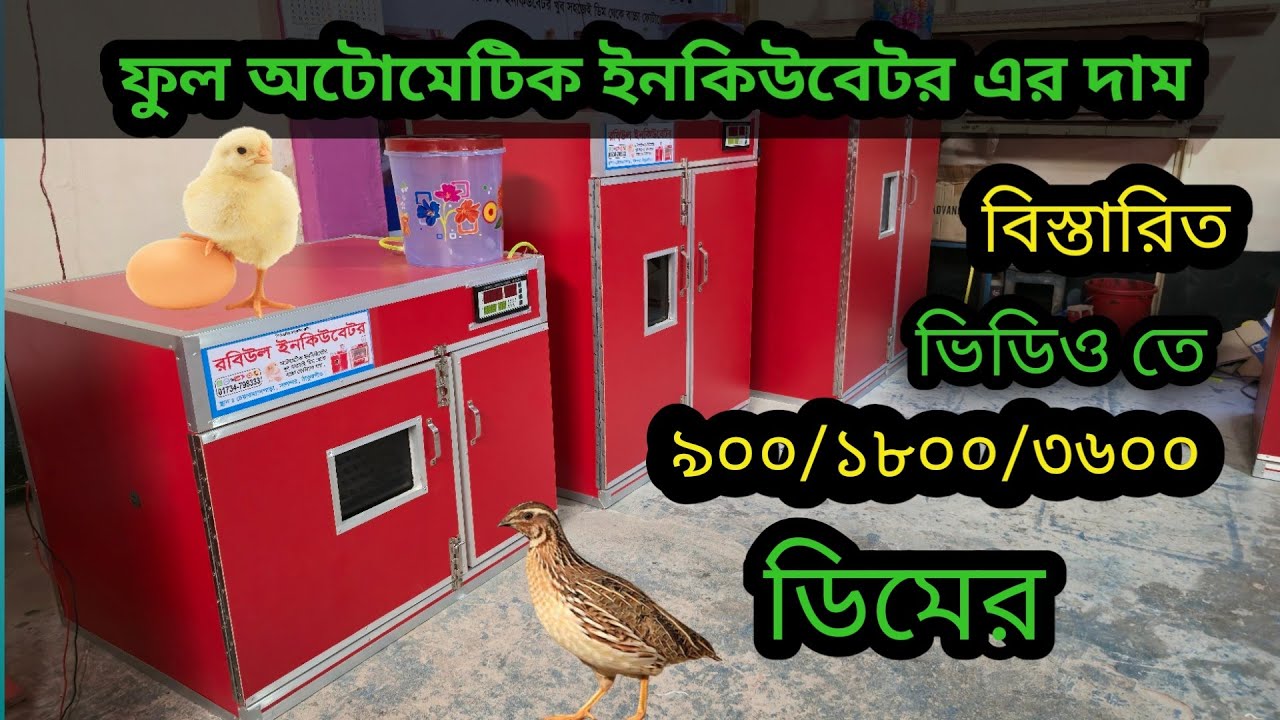 ফুল অটোমেটিক ইনকিউবেটর মেশিনের দাম জানুন automatic egg incubator price 2025 #rabiulincubator #hatch