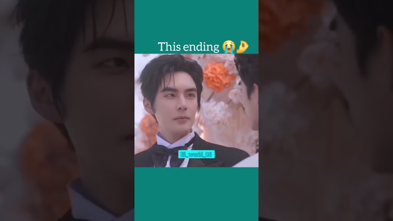 Best ending ever &hearts;️🤌😭#chinese bl#blseries #love # private Galaxy #bl #