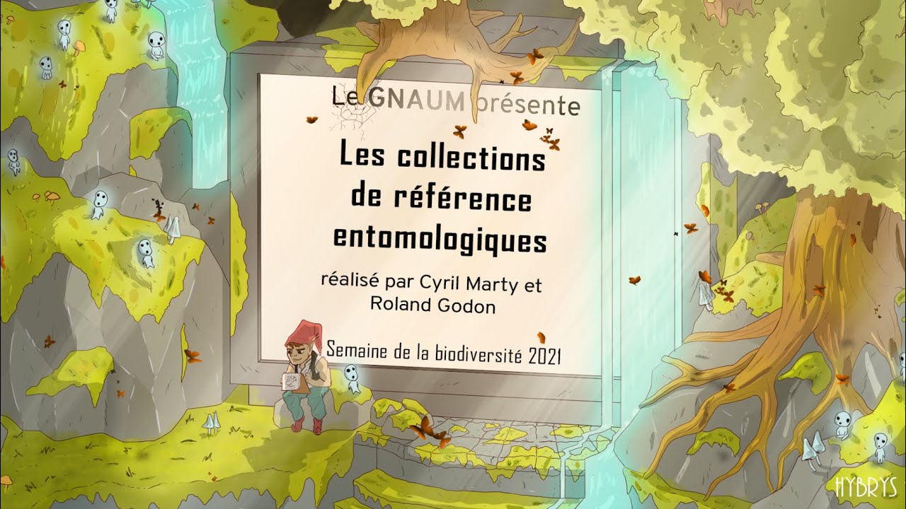 Les collections de référence entomologiques
