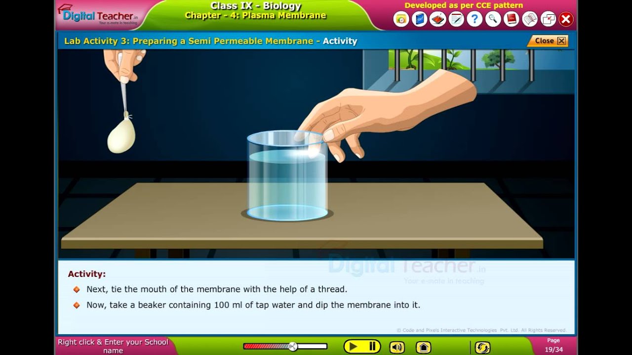 Preparing a semi-permeable membrane, Class 9 Biology | Smart class