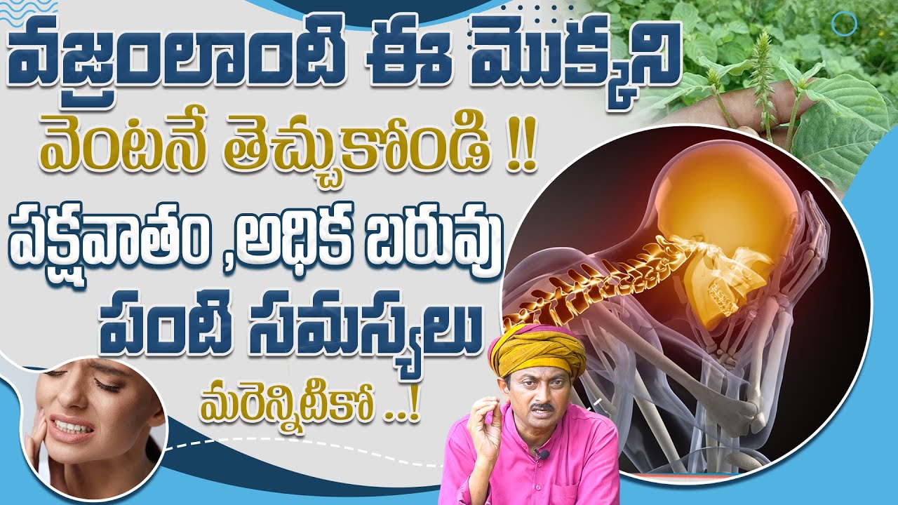 ఈ మొక్కని వెంటనే తెచ్చుకోండి పక్షవాతం, అధిక బరువు మరెన్నిటికో ..| Dr.Ravivarma | AYUR VARMA