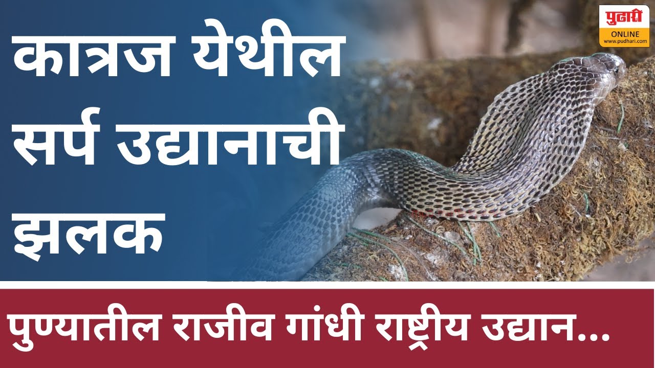 कात्रज येथील सर्प उद्यानाची झलक...