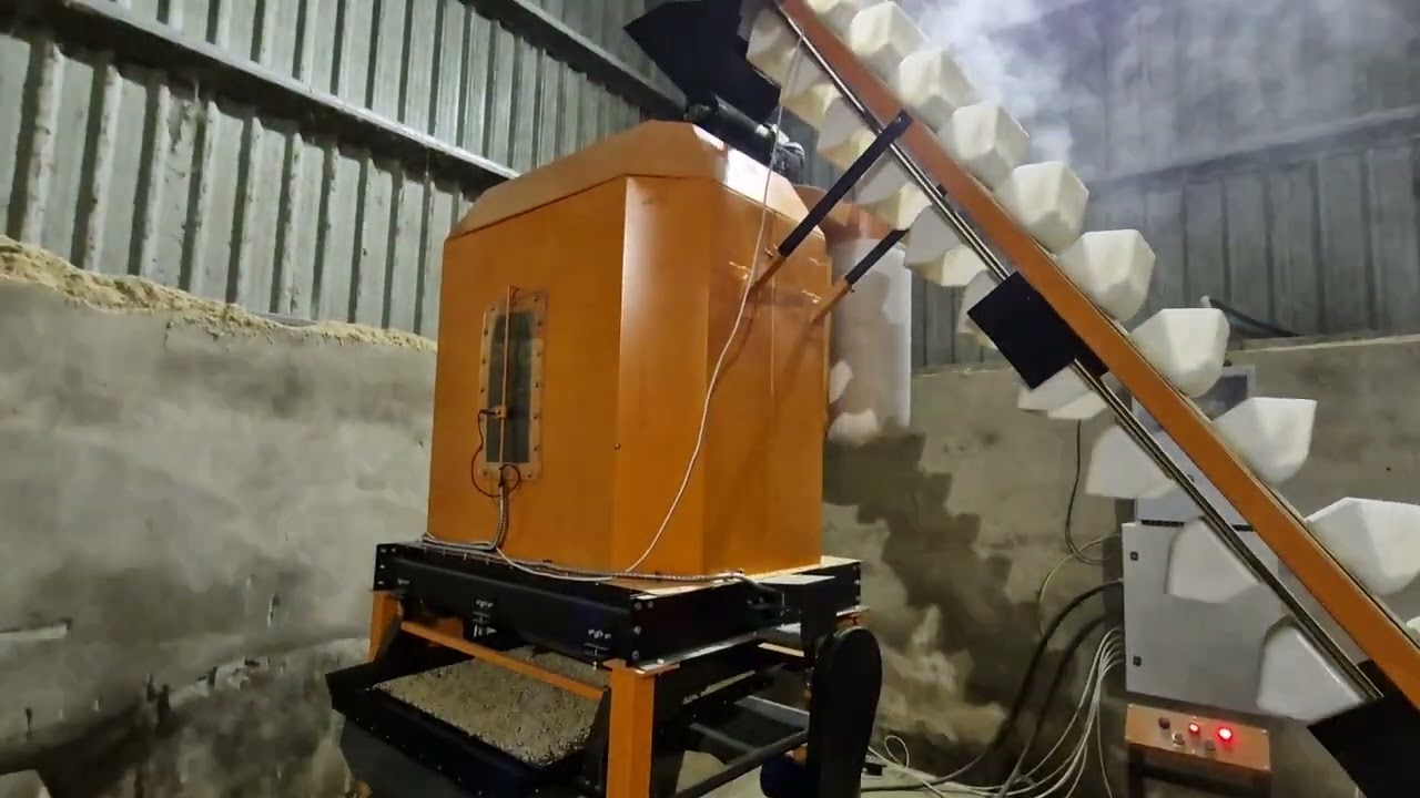 Linie peleti 1000 kg/h . instalata la Belfast (Irlanda de Nord) 12.03 2024