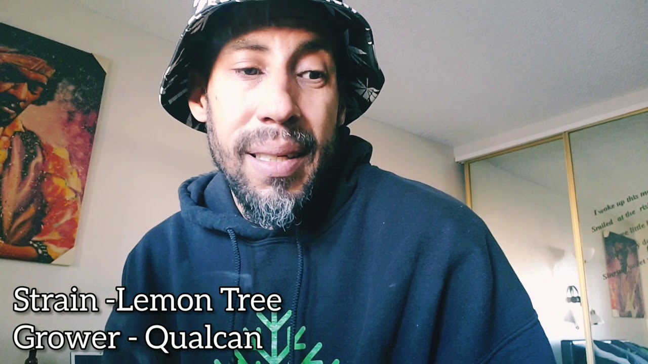 Lemon Tree - Strain Review