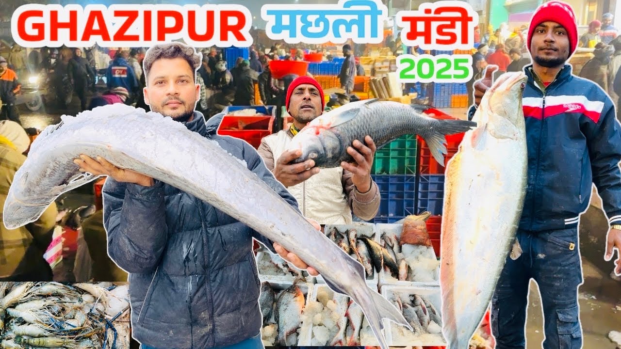 Ghazipur Fish Mandi Delhi Today Price 2025 ghazipur machli mandi wholesale ghazipur Fish market Near