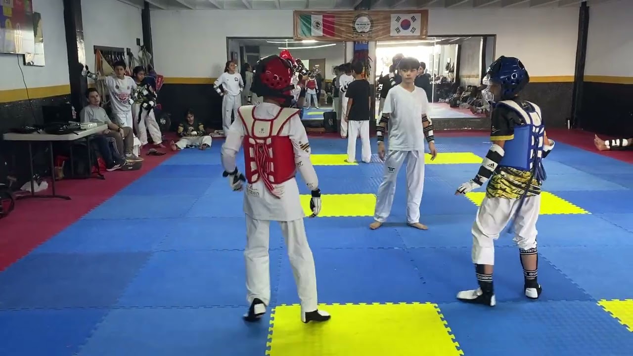 Taekwondo saturday training 