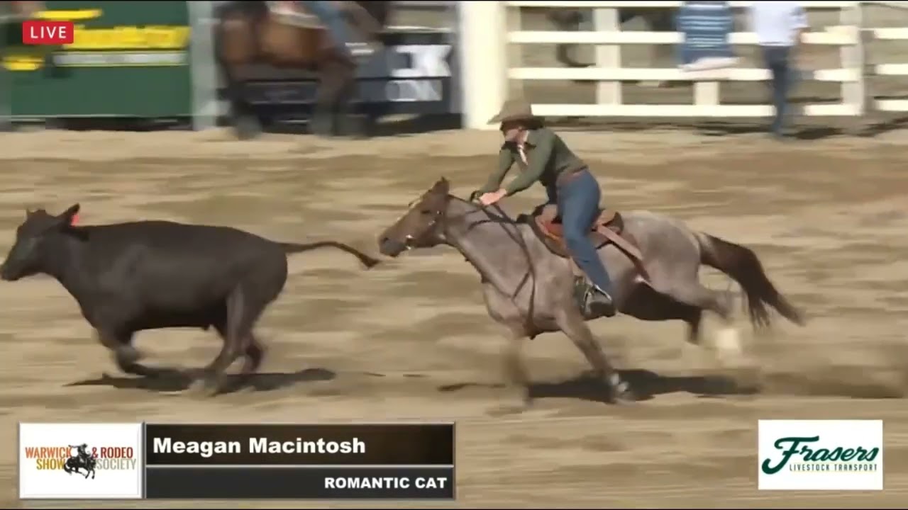 2024 Warwick Stallion draft R1 Romantic Cat & Meagan Macintosh (89)