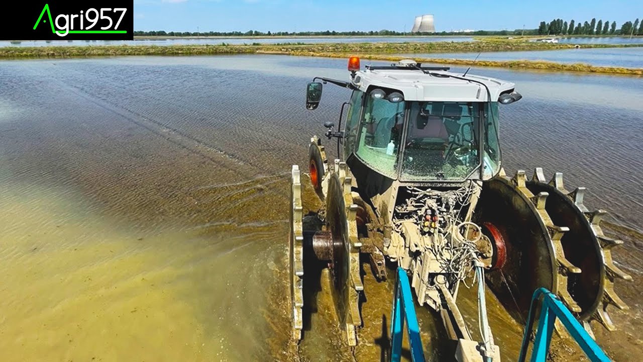 SOWING RICE ON IRON WHEELS: 3x MASSEY FERGUSON & FERTI-SPREADERS | @farming-together & @sulkyofficiel