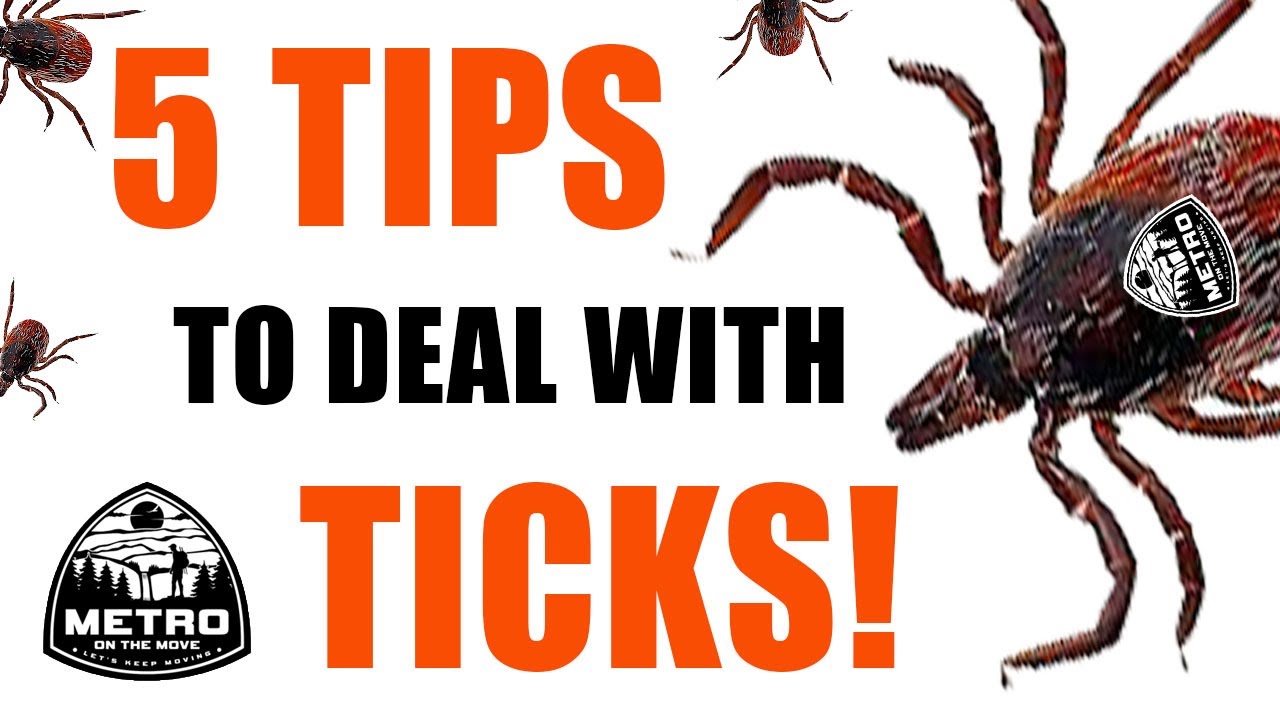 5 TIPS To Deal With TICKS! - Backpacking Tips For Beginners