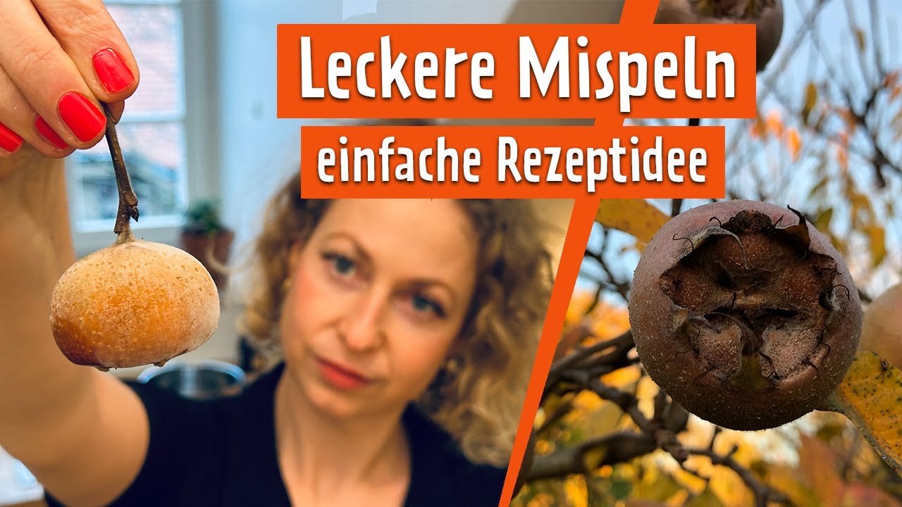 Mispeln direkt vom Baum einfrieren und sp&auml;ter verarbeiten - funktioniert das? | MDR Garten