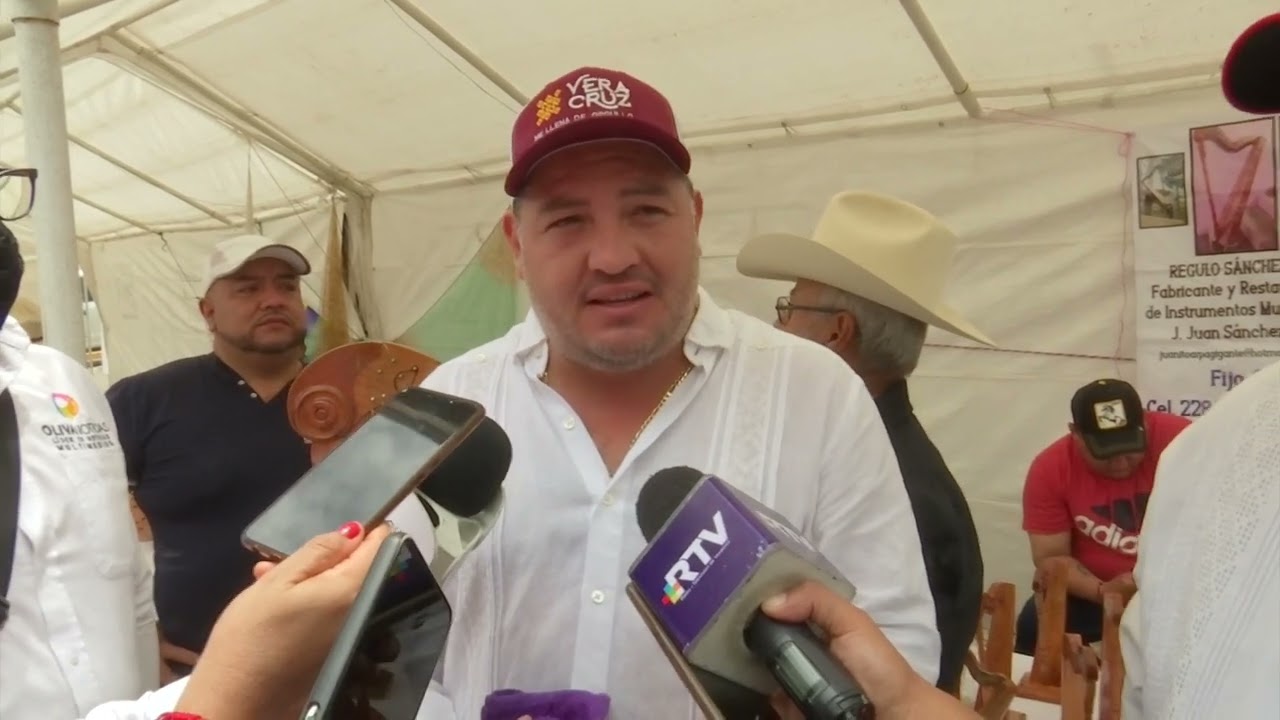 Festival Internacional del Arpa en Cerrillos de Díaz