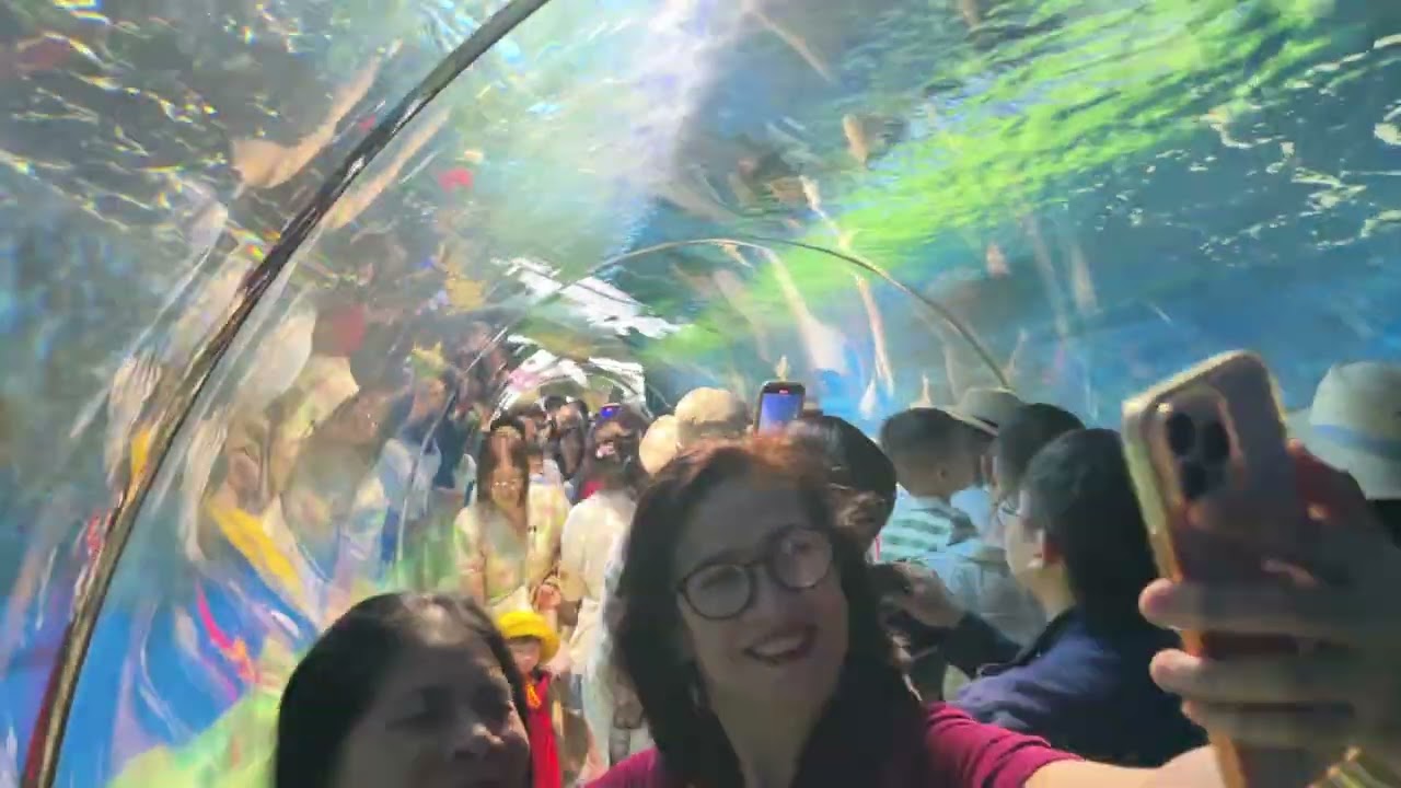 Baby Shark cá mập con Ở Viện Hải Dương Tp Nha Trang 