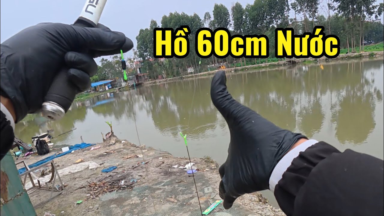 Hồ sâu 60cm nước?
