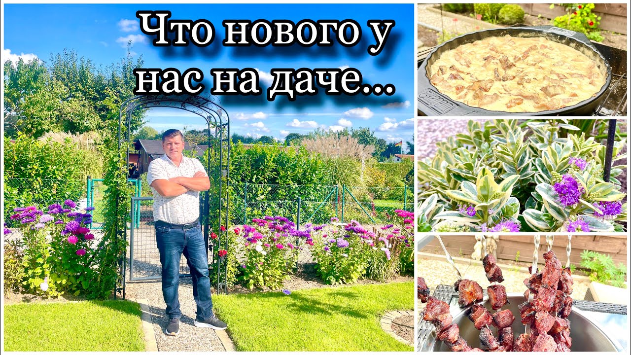 Установили Шкаф / Рецепт от Саши / Новые цветы / Отдых на даче / Германия