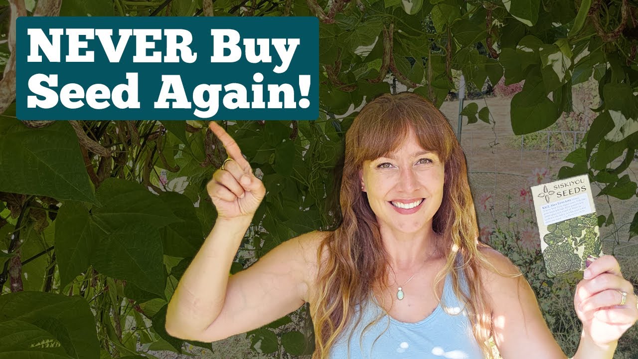 Seed Saving Secrets Every Homesteader Needs