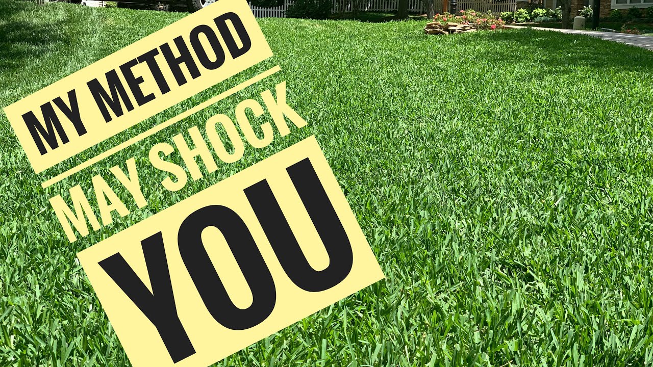 Mowing Height for St. Augustine Lawn - Not the Same for everyone?