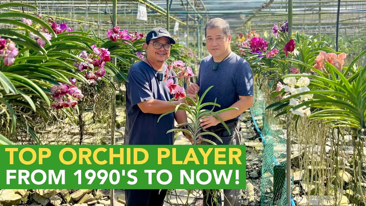 Philippines' Top Orchid Farm, Importer, Wholesaler and Retailer from the 1990s to Now!