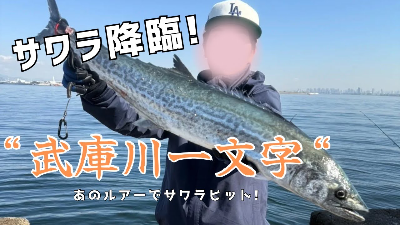サワラ降臨！武庫川一文字　TGベイトでついにヒット！