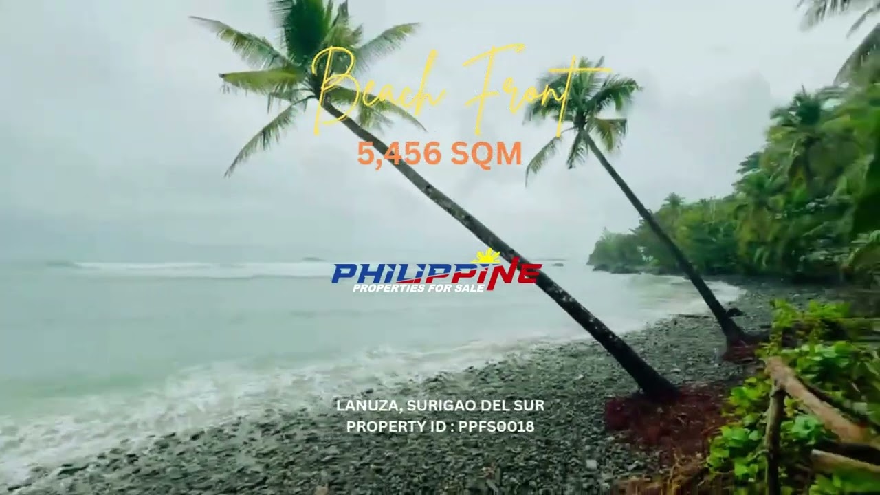 5,456 Beach Front For Sale in Lanuza Surigao del Sur #philippineproperties