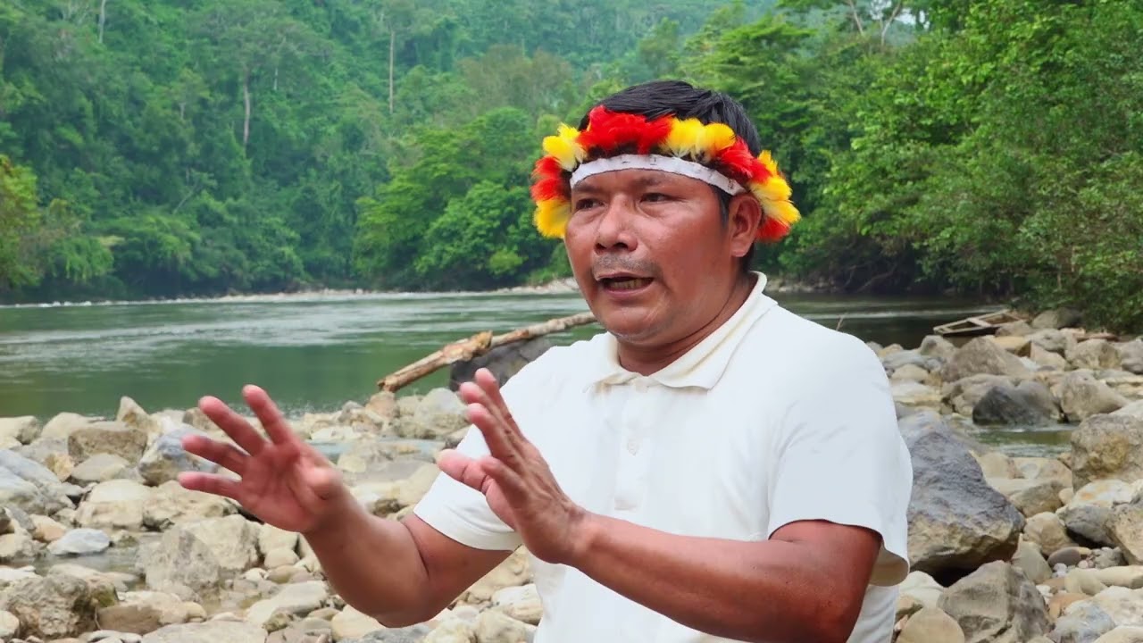 Entre El verde y el Oro - La batalla por la supervivencia