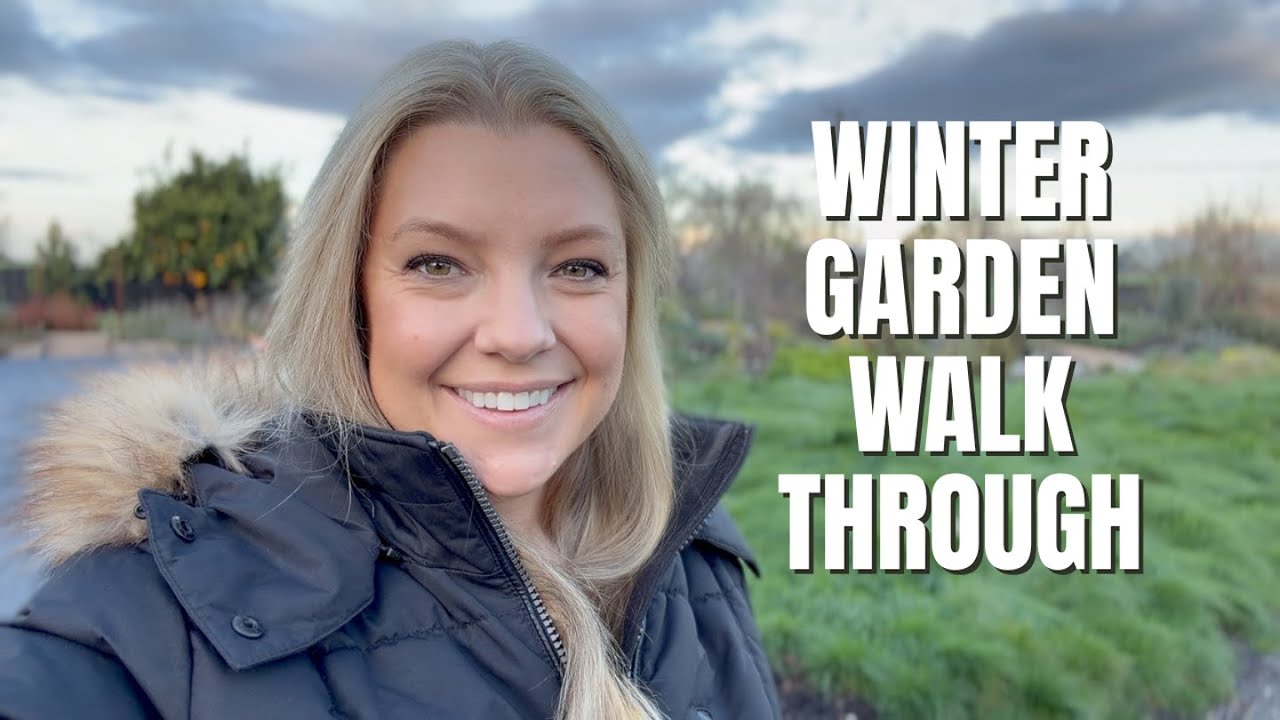 A Slow Walk Through the Winter Garden After the Rain
