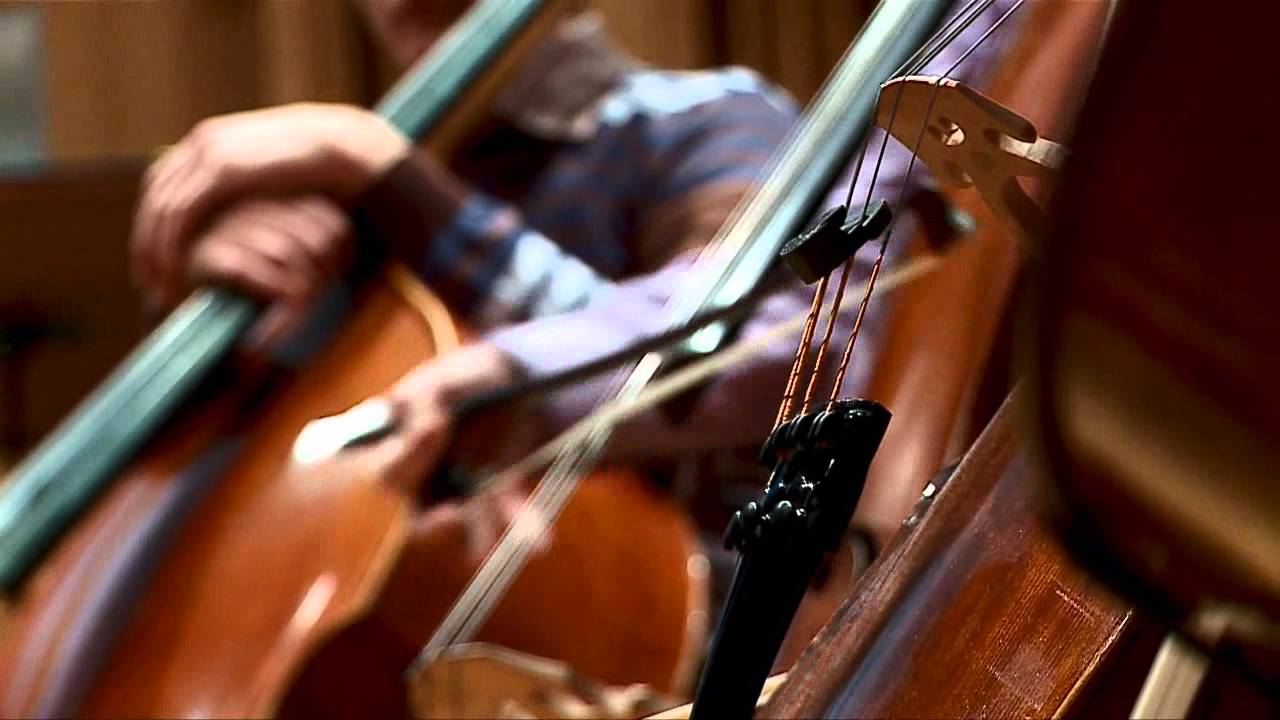 OPERA VIVA - odc.18 - ADAM WAJRAK OPOWIADA O ZWIERZĘTACH PODLASIA