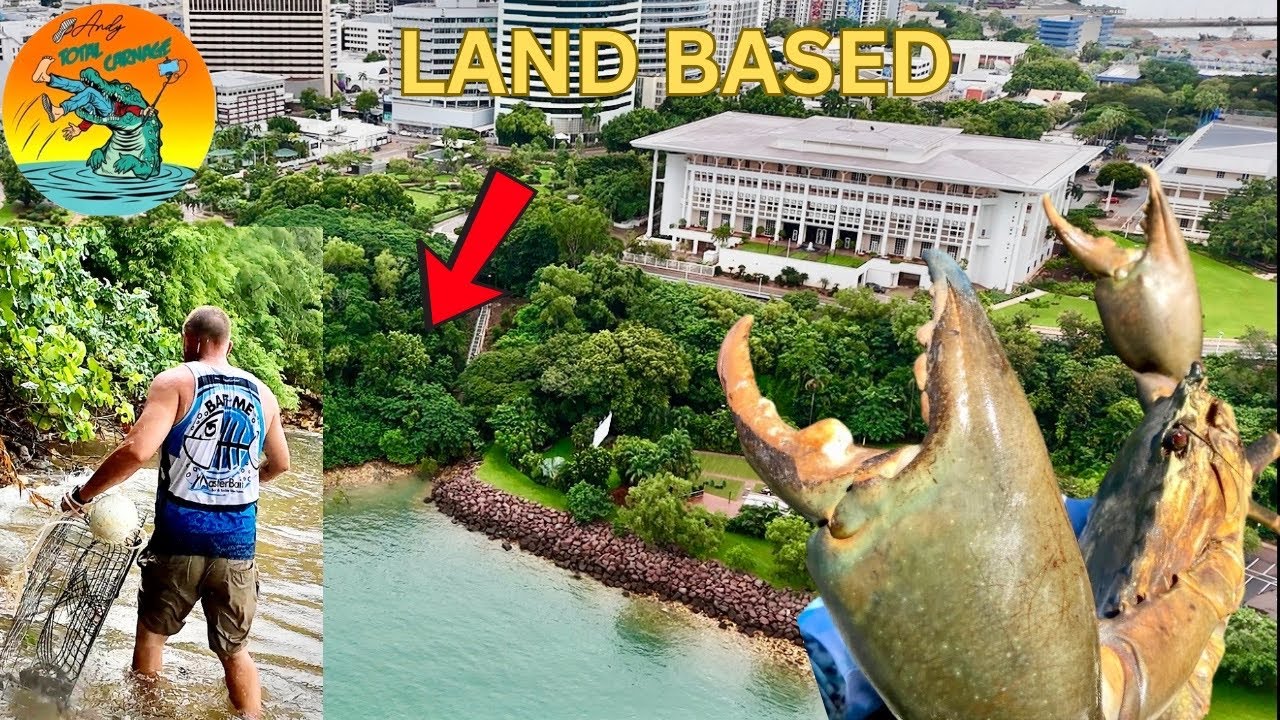 DARWIN LAND BASED MUD CRABBING (With my boy Kaido)