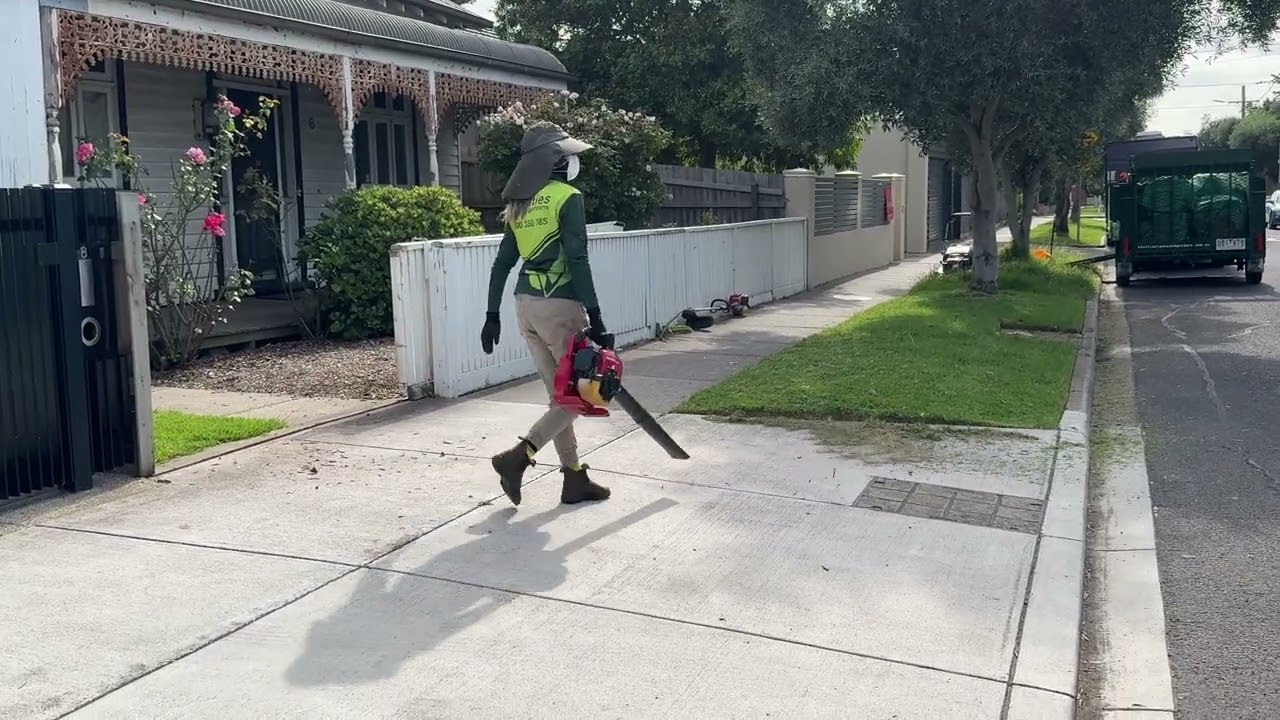 Straight edge, leaf blower and lawn mow