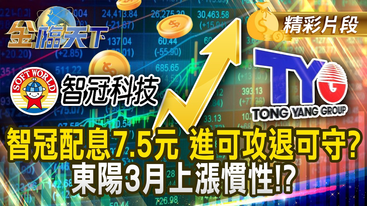 智冠配息7.5元 進可攻退可守？ 東陽3月上漲慣性！？ #金臨天下 @TVBSFinanceLive 20260319