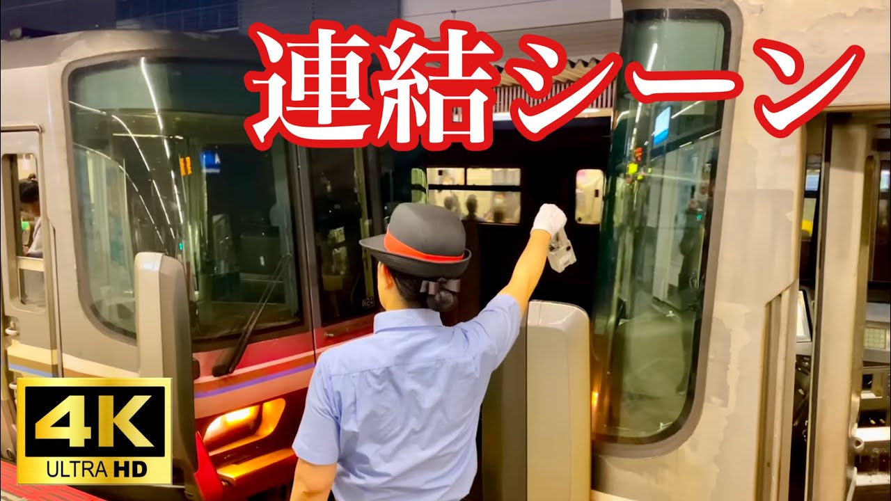 【4K】JR西日本 新快速連結シーン集【223系・225系】