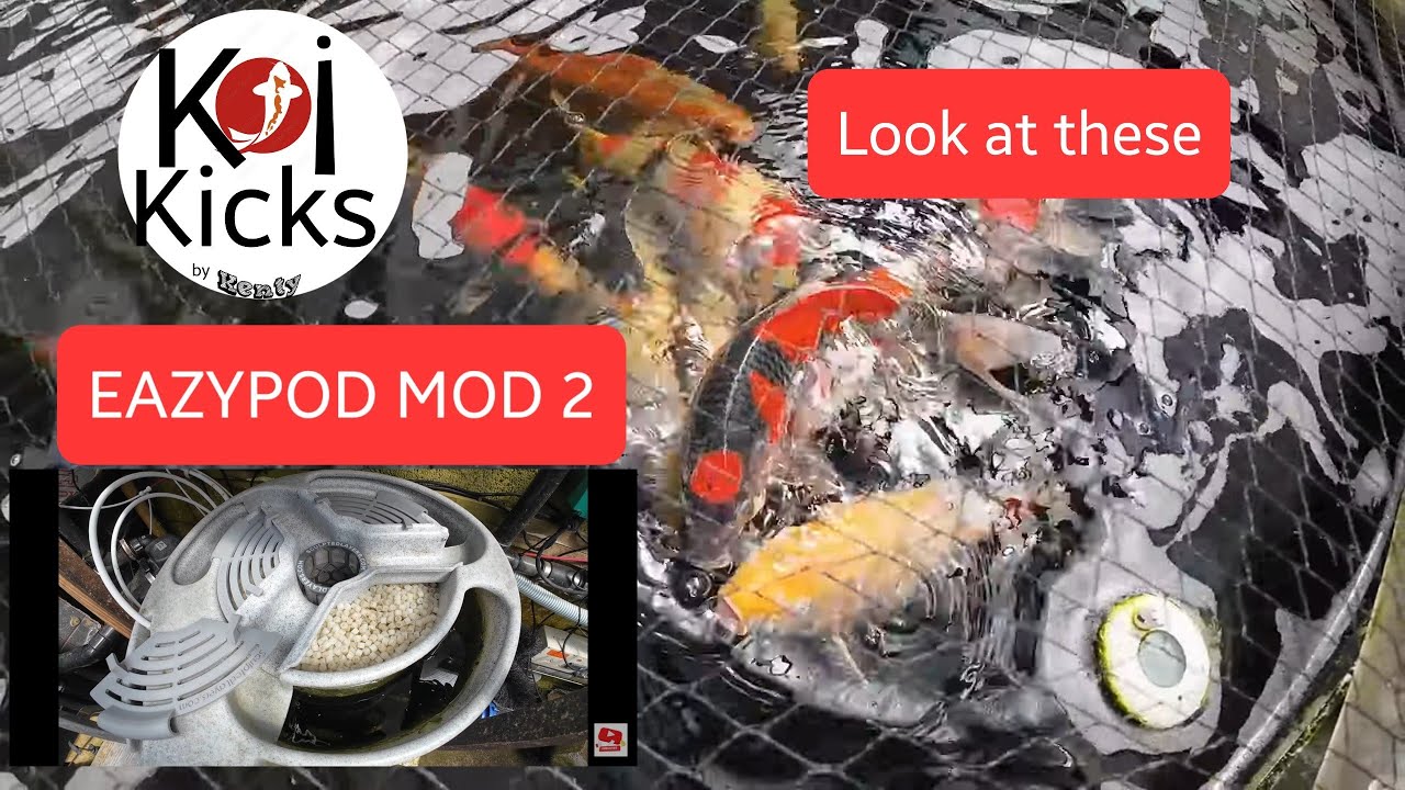 Eazypod Mod 2 & look at these